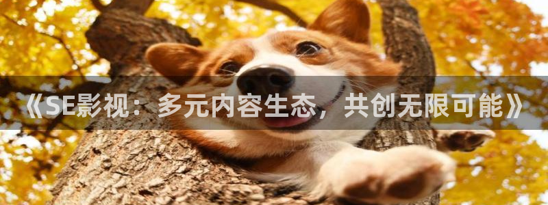 天狼电影免费观看完整：《SE影视：多元内容生态，共创无限可能》