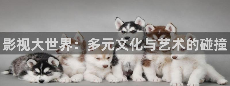 名侦探柯南天狼影院：影视大世界：多元文化与艺术的碰撞
