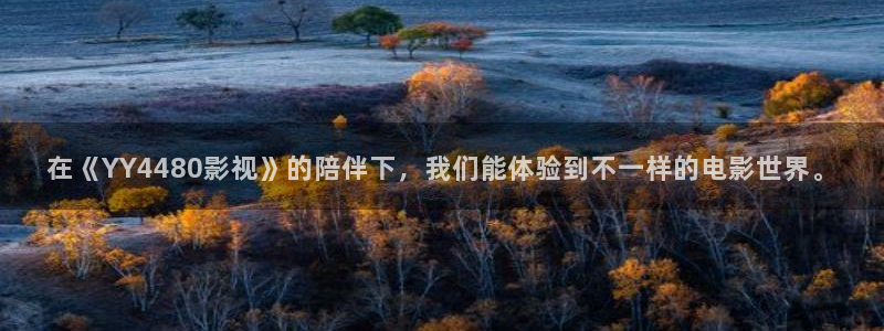 天狼影视免费影视大全：在《YY4480影视》的陪伴下，我们能体验到不一样的电影世界。