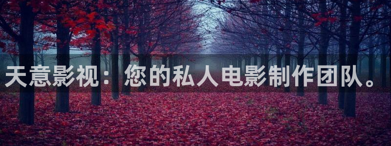 天狼影院免费看电视剧2023