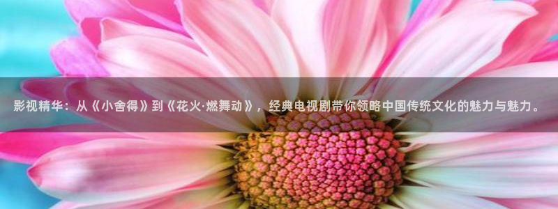 天狼影院免费：影视精华：从《小舍得》到《花火·燃舞动》，经典电视剧带你领略中国传统文化的魅力与魅力。