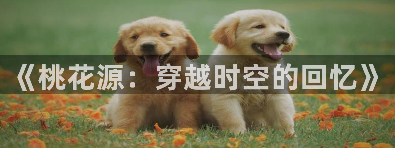 天狼影院妈妈的朋友：《桃花源：穿越时空的回忆》