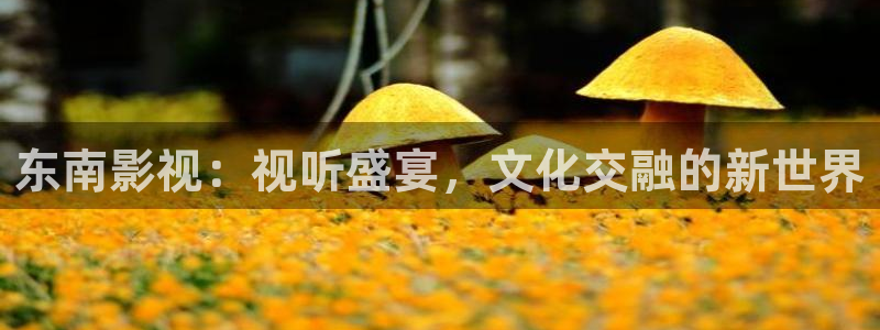 天狼免费在线观看